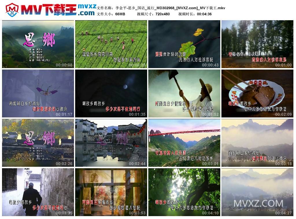 李金平-思乡_国语_流行_MD302968